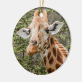 Giraffe Browsing Keramik Ornament (Links)