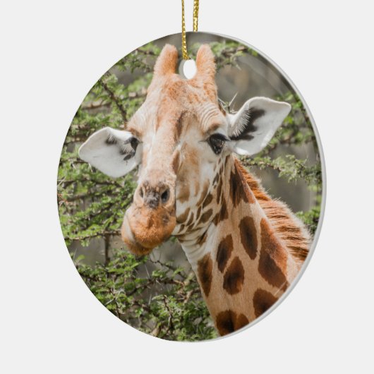 Giraffe Browsing Keramik Ornament (Links)