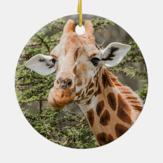 Giraffe Browsing Keramik Ornament (Hinten)