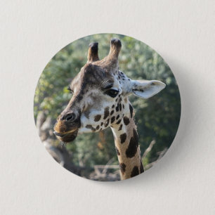 Giraffe Button