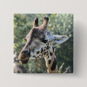 Giraffe Button