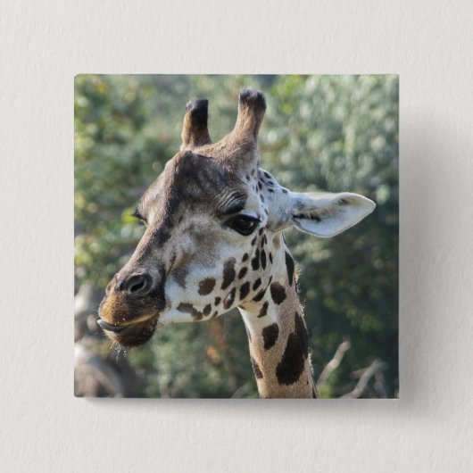 Giraffe Button (Vorderseite)