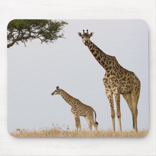 Giraffe Calf and Mama Mousepad (Vorne)
