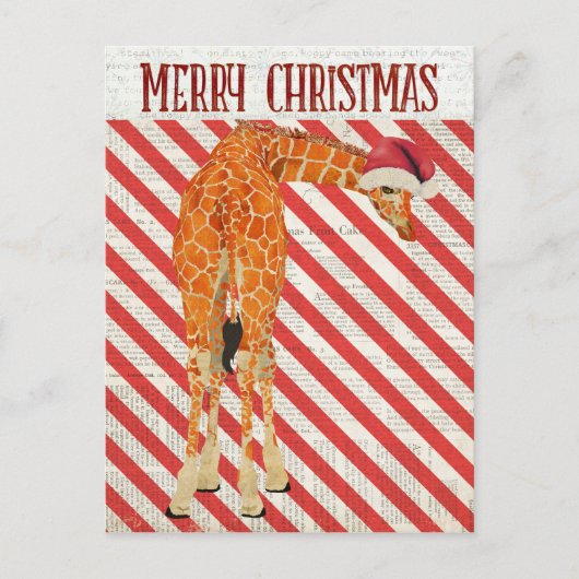Giraffe Candy Cane Postcard Postkarte (Vorderseite)