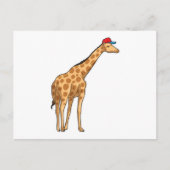 Giraffe Cap Postkarte (Vorderseite)