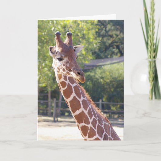 Giraffe Card Karte (Vorderseite)