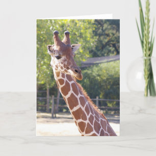 Giraffe Card Karte