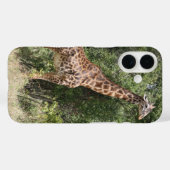 Giraffe Case-Mate iPhone Hülle (Rückseite (Horizontal))