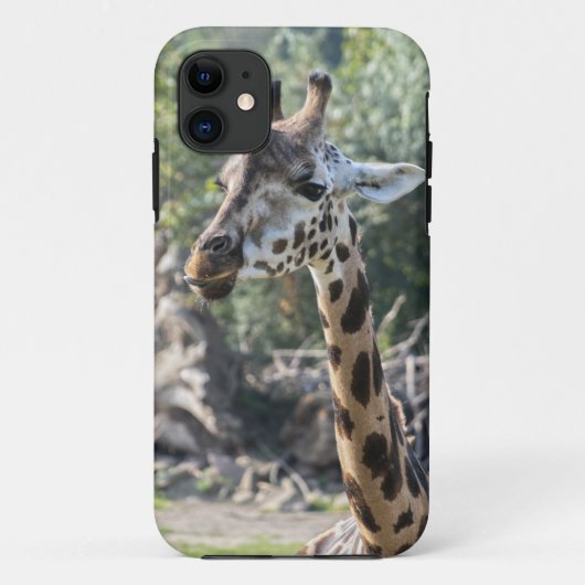 Giraffe Case-Mate iPhone Hülle (Rückseite)