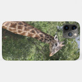 Giraffe Case-Mate iPhone Hülle (Rückseite (Horizontal))