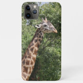 Giraffe Case-Mate iPhone Hülle (Rückseite)
