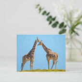 Giraffe Couple Portrait Postkarte (Stehend Vorderseite)