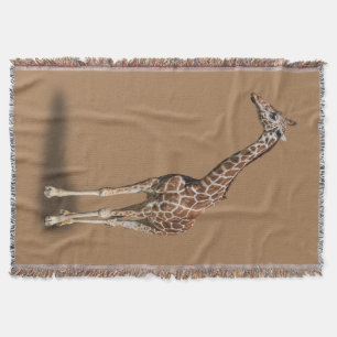 GIRAFFE DECKE