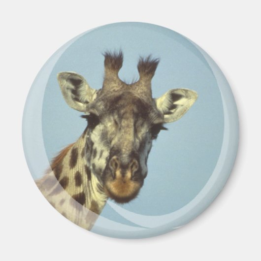 Giraffe Design Magnet (Vorne)