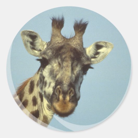 Giraffe Design-Sticker Runder Aufkleber (Vorderseite)