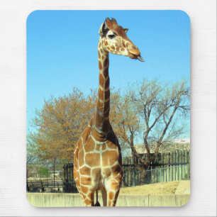 GIRAFFE, DIE HERAUS ITIS ZUNGE HAFTET MOUSEPAD