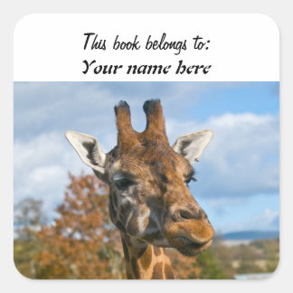 Giraffe "Dieses Buch gehört" Aufkleber