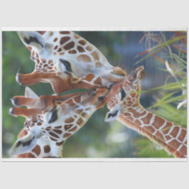 Giraffe, Digital Art Family Decoupage Seidenpapier