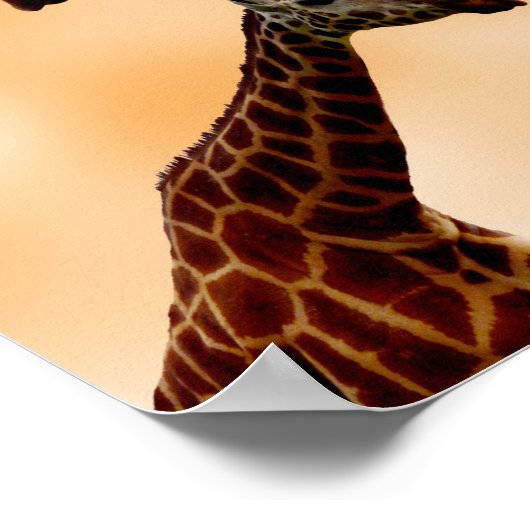 Giraffe doppelte Schwierigkeit, Poster (Ecke)