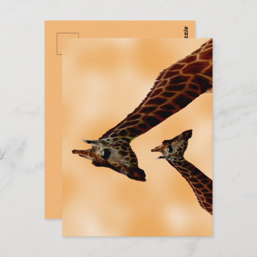 Giraffe doppelte Schwierigkeit, Postkarte (Vorne/Hinten)