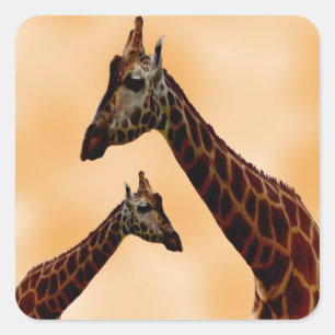 Giraffe doppelte Schwierigkeit, Quadratischer Aufkleber