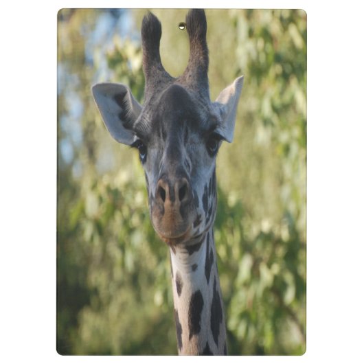Giraffe-Dusche Klemmbrett (Rückseite)