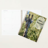 Giraffe-Dusche Planer (Anzeige)