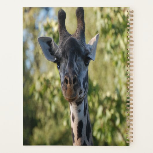 Giraffe-Dusche Planer (Rückseite)
