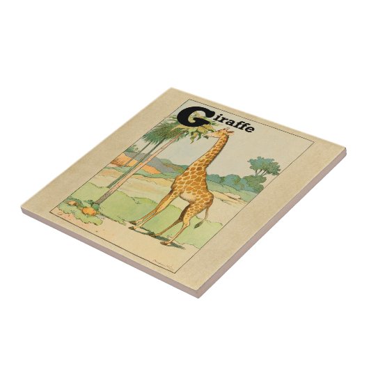 Giraffe Eating Acacia in der Wüste Fliese (Seite)