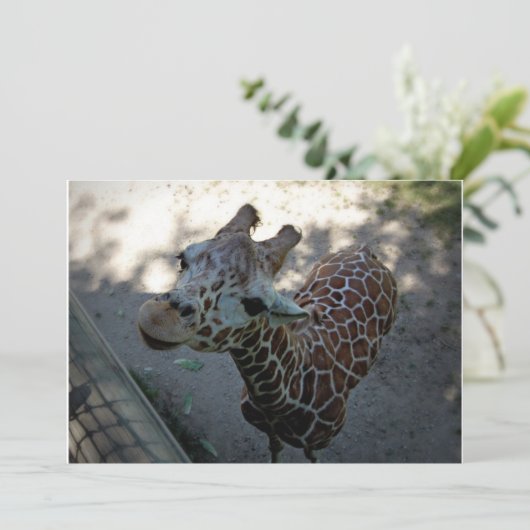 Giraffe Einladung (Stehend Vorderseite)