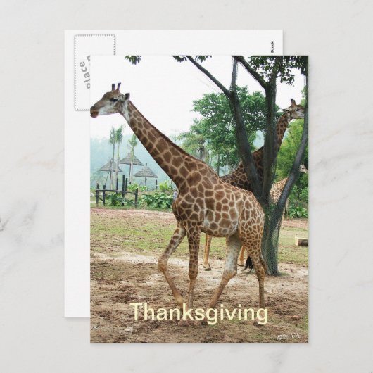 Giraffe Erntedank Postkarte (Vorne/Hinten)