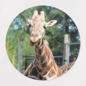 Giraffe Etiketten (Design 2)