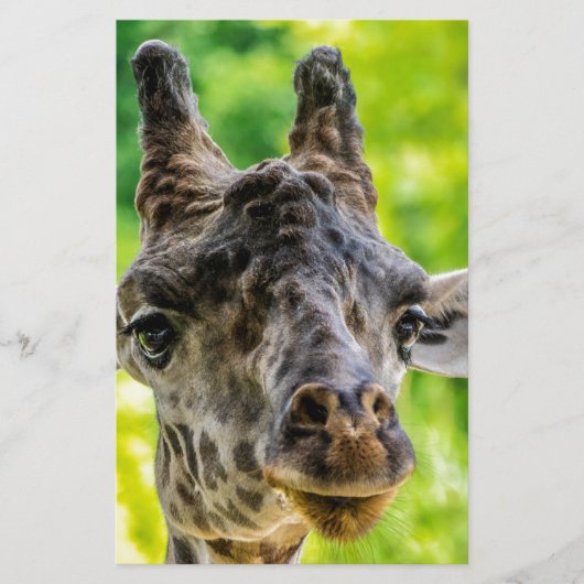 Giraffe Eyelashes Briefpapier (Vorderseite)
