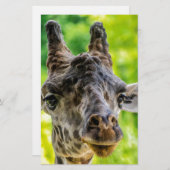 Giraffe Eyelashes Briefpapier (Vorne/Hinten)