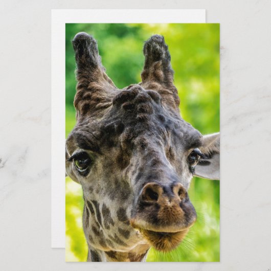 Giraffe Eyelashes Briefpapier (Vorne/Hinten)