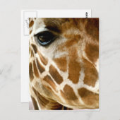 Giraffe Face Closeup | Foto wild lebende Tiere Postkarte (Vorne/Hinten)