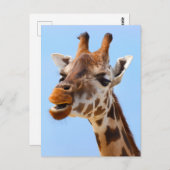 Giraffe Face Nah-up Fotografie Postkarte (Vorne/Hinten)
