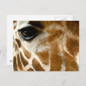 Giraffe Face | Zoo Wilde Tiere Natur Foto Postkarte (Vorne/Hinten)