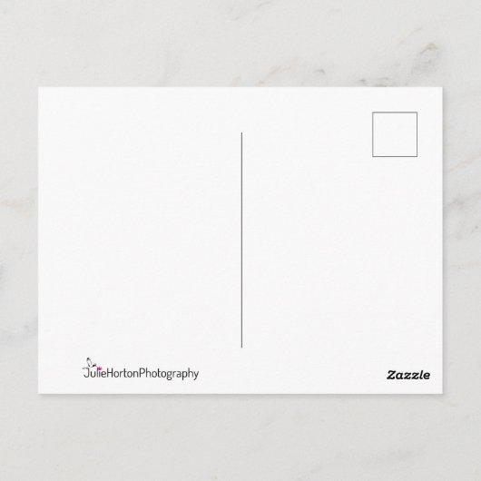 Giraffe Faces Nah Postkarte (Rückseite)