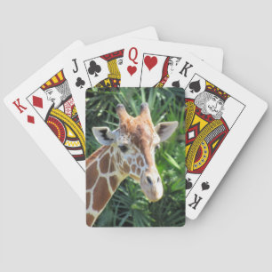 Giraffe - Fahrradkarten Spielkarten