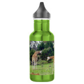 Giraffe Familienzeit, Trinkflasche (Links)