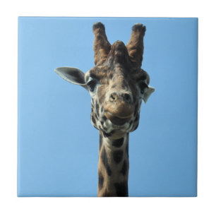 GIRAFFE FLIESE