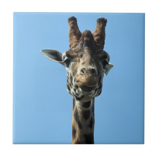 GIRAFFE FLIESE (Vorderseite)