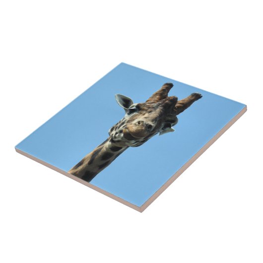 GIRAFFE FLIESE (Seite)