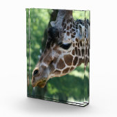 Giraffe Foto Block (Rechts)