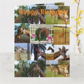 Giraffe Foto Collage, Jumbo Birthday Card, Karte (Gelbe Blume)