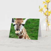 Giraffe Foto Grußkarte Karte (Gelbe Blume)