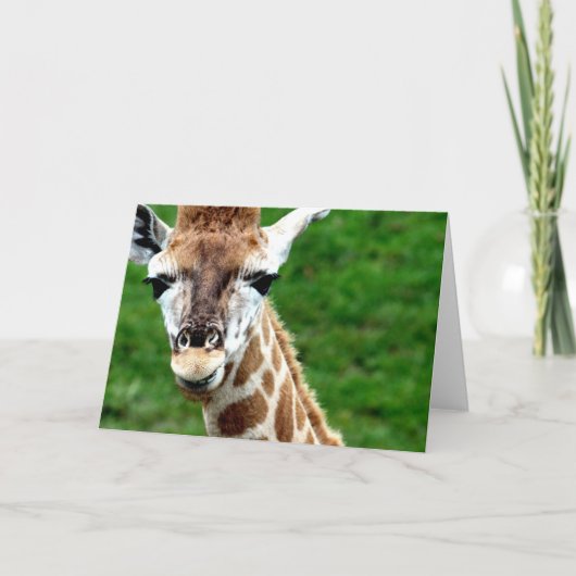 Giraffe Foto Grußkarte Karte (Vorderseite)