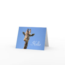 Giraffe Foto Niedlich Hello Blue