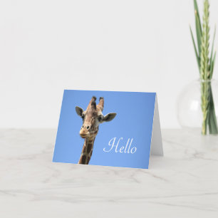 Giraffe Foto Niedlich Hello Blue Karte